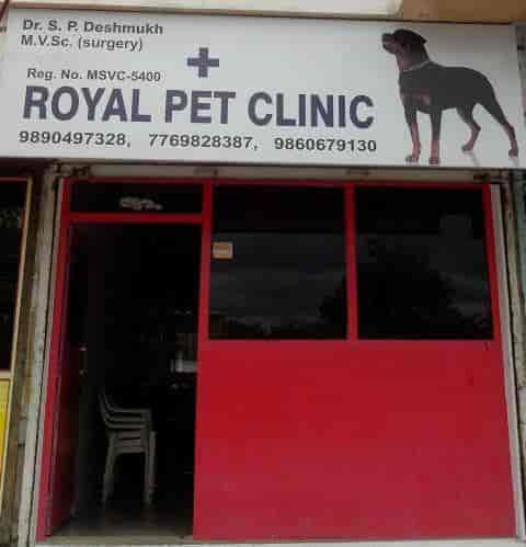 Royal Pet Clinic In Garkheda Aurangabad Maharashtra Best Veterinary