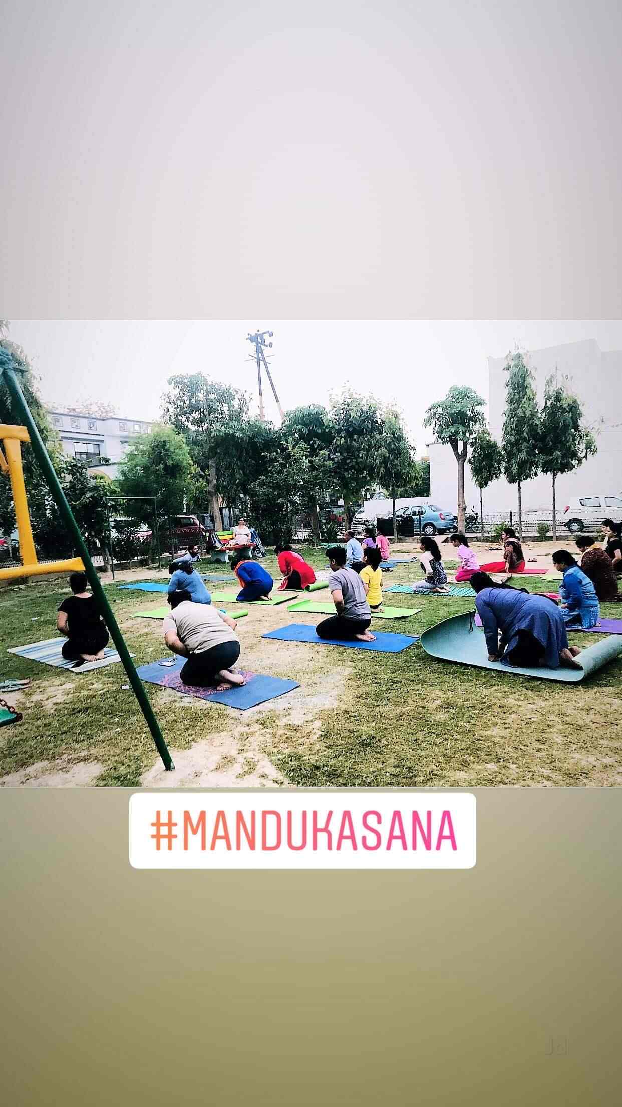 Hatha Yoga group class