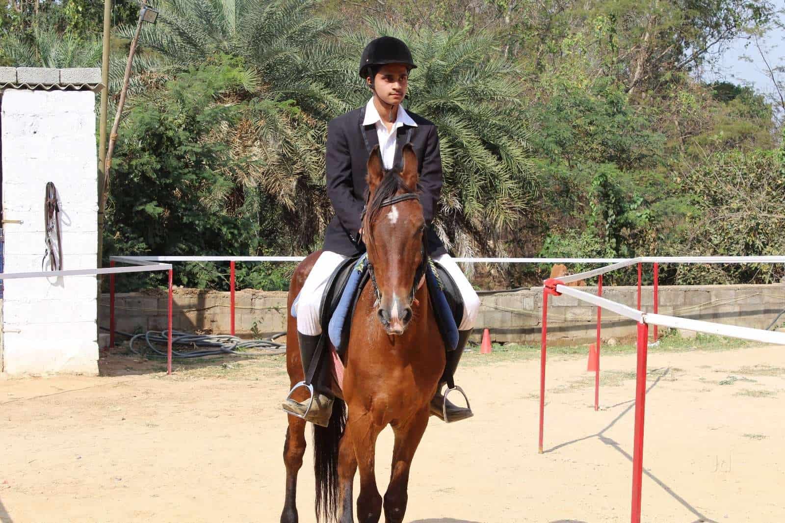 Discover 150+ riding pants bangalore latest in.eteachers