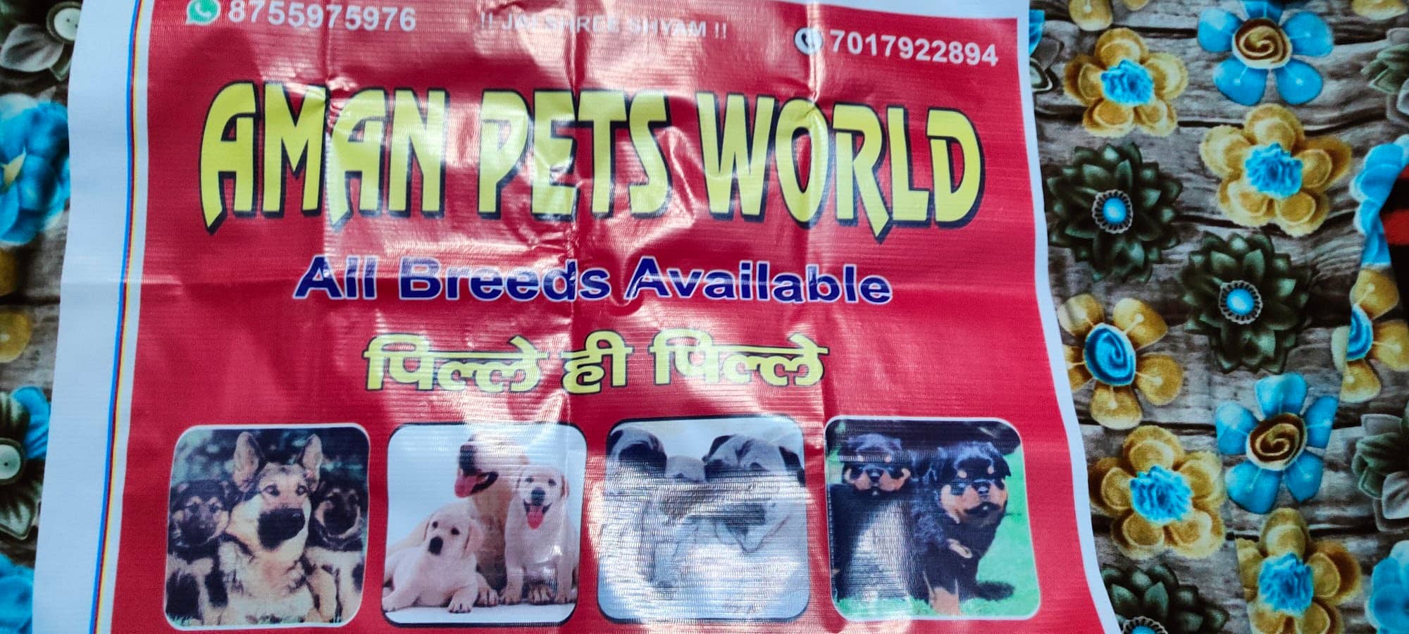 Aman Pet Shop in Sanjay Place,Agra Best Pet Shops in Agra Justdial