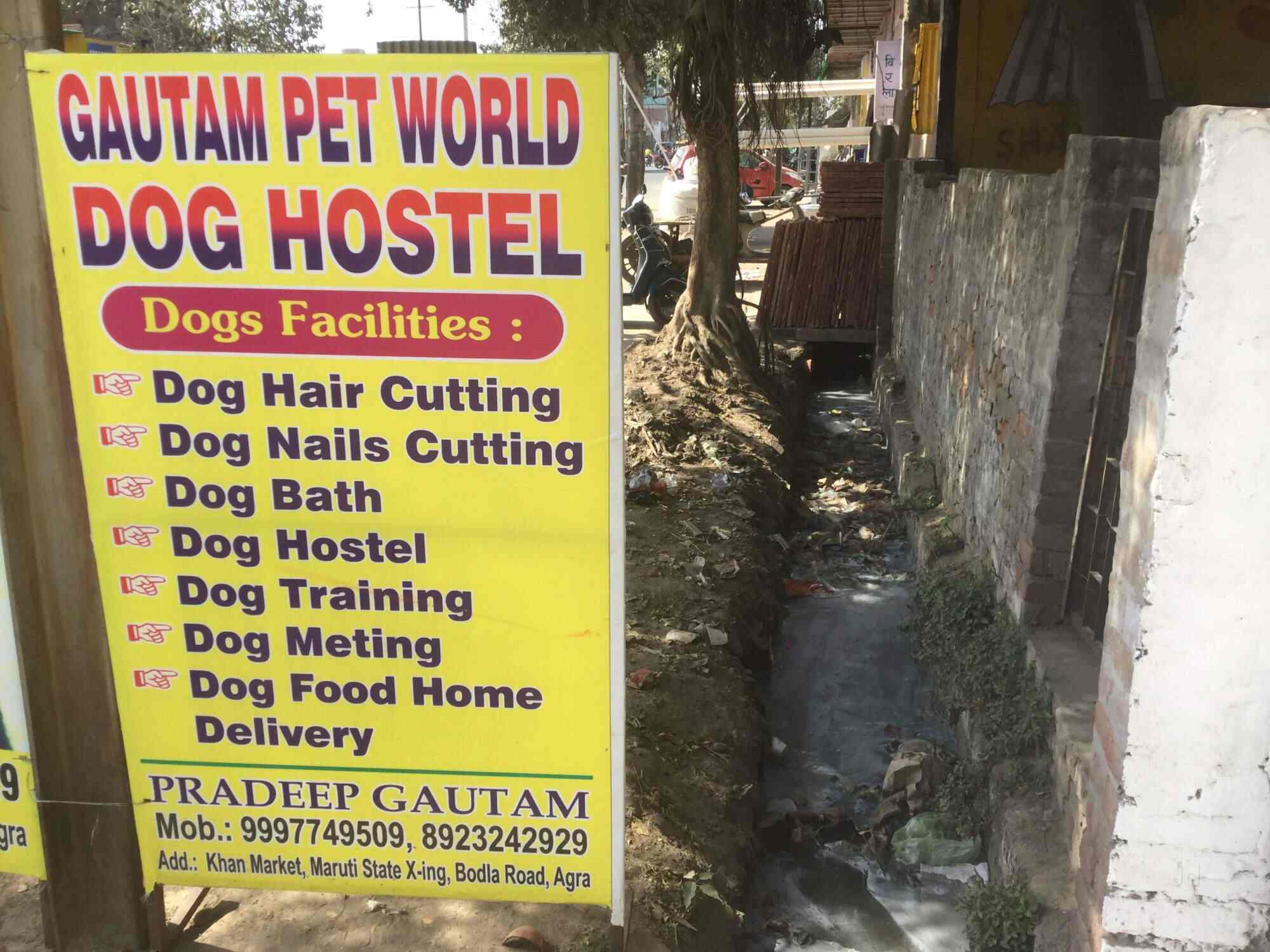 Gautam Pet Shop in Albatiya,Agra Best Pet Shops in Agra Justdial