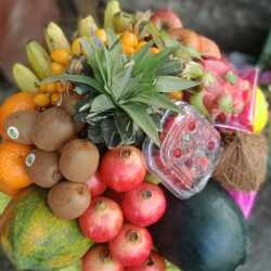 Top Strawberry Wholesalers in Gwalior - स्ट्रॉबेरी ...