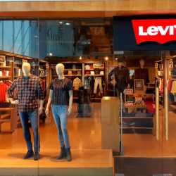 levis paldi