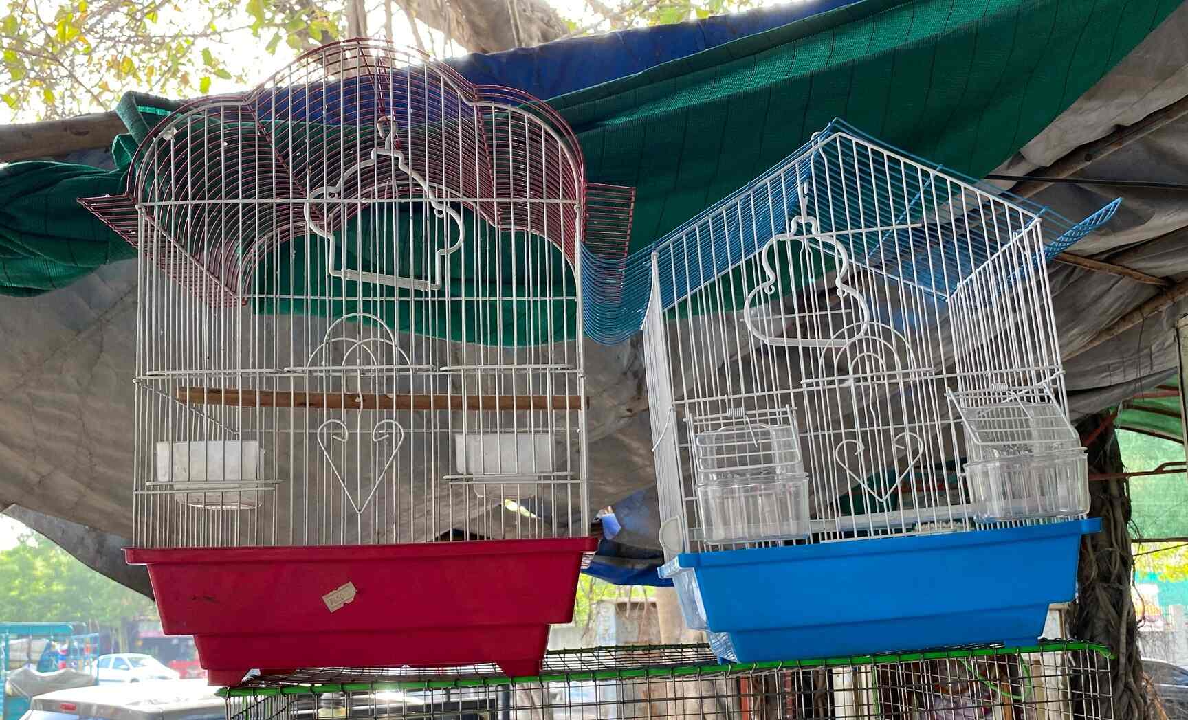 Navin Kennel And Dog World in Khokhara Mehmadabad,Ahmedabad Best