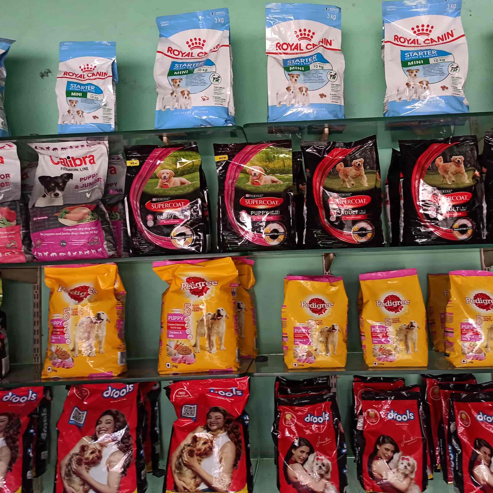 Navin Kennel And Dog World in Khokhara Mehmadabad,Ahmedabad Best