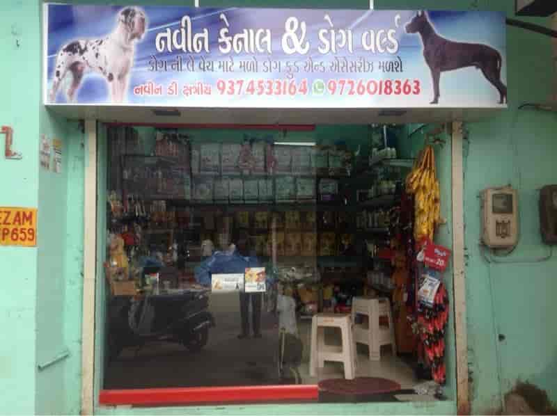 Navin Kennel And Dog World in Khokhara Mehmadabad,Ahmedabad Best