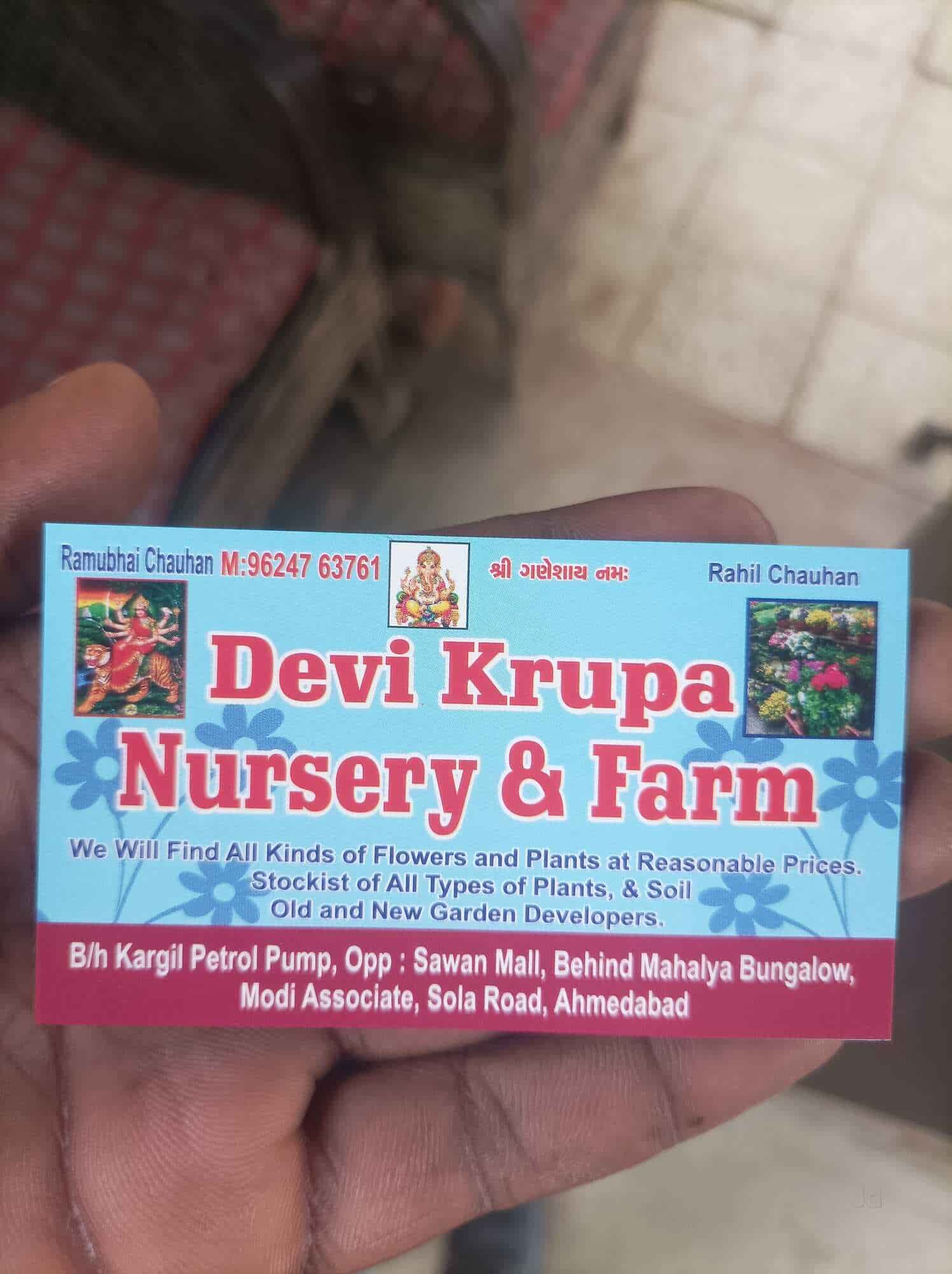Devi Krupa Nursery & Farm in Sola Road,Ahmedabad - Best Plant Nurseries  near me in Ahmedabad - Justdial