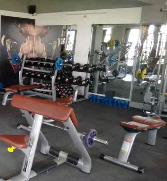 Sfw The Gym in Vastrapur,Ahmedabad Best Gyms in Ahmedabad Justdial