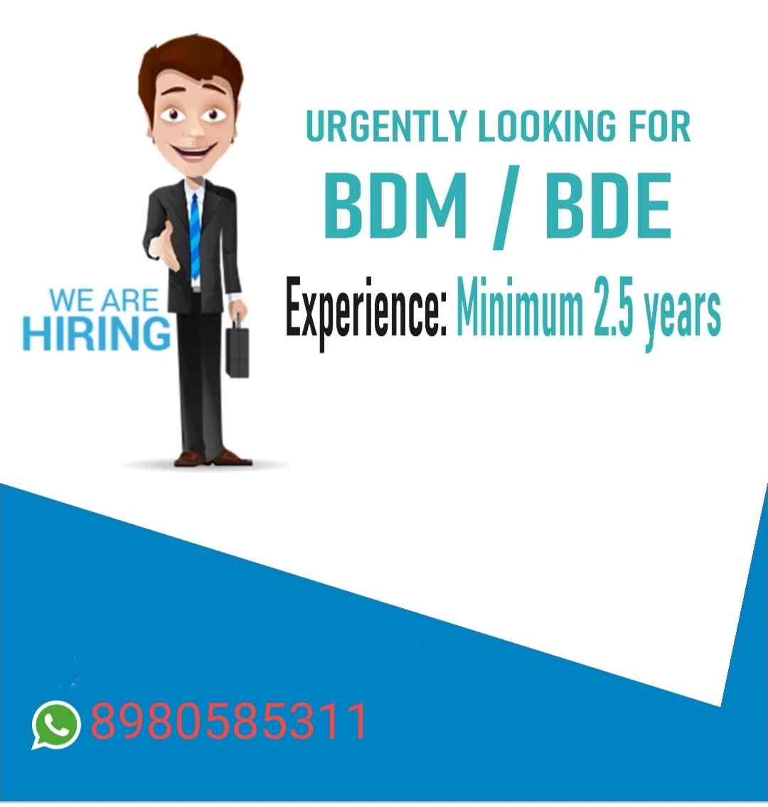 Top Placement Services For Sales Girl Executive (candidate) in