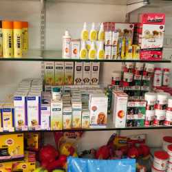 Top Dog Medicine Dealers in Ahmedabad Best Chemist For Pet