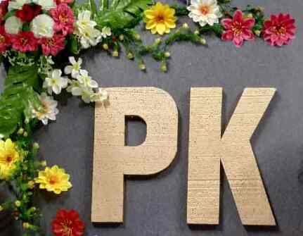 Petals Krishnanagar - Nursery | Jr KG | Sr KG Preschool Naroda