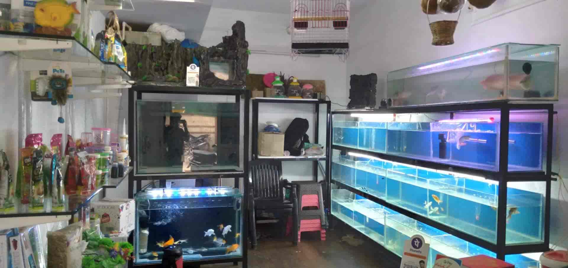 Aqua Club Aquariums in Shastrinagarnaranpura,Ahmedabad Best Aquarium