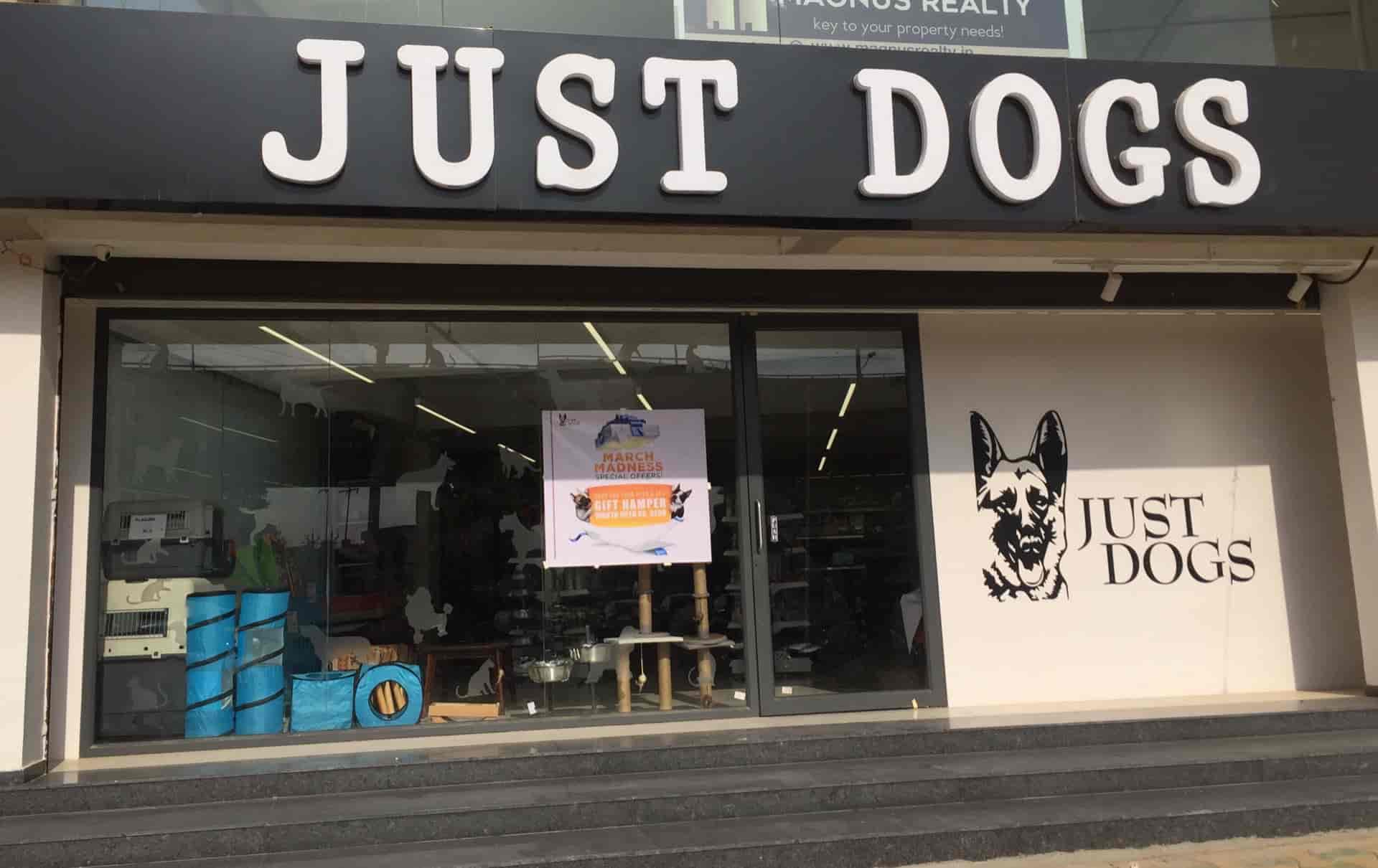 Top Dog Adoption Centres in Ahmedabad Best Dog Adoption Centers