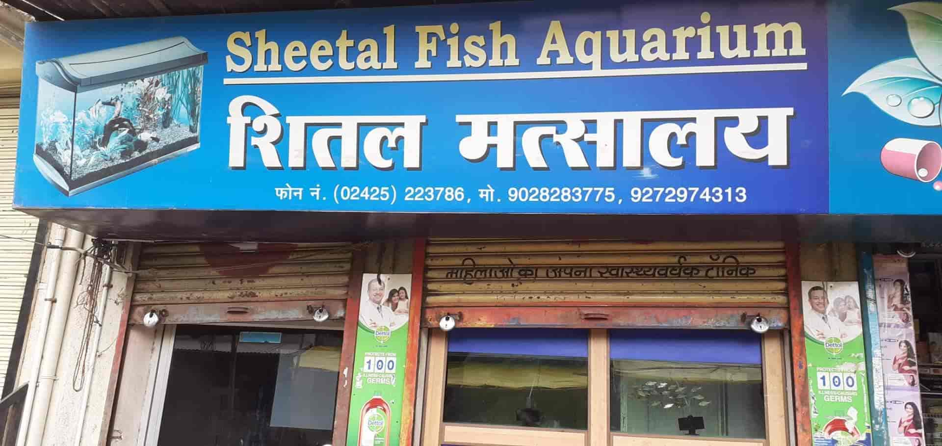 Top Fish Aquarium Dealers in Sangamner Best Fish Aquarium Shops