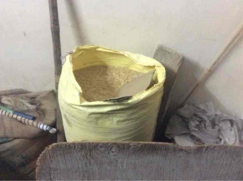 Top Patanjali Animal Feed Dealers in Jodhpur एनिमल फीड डीलर्सपतंजलि