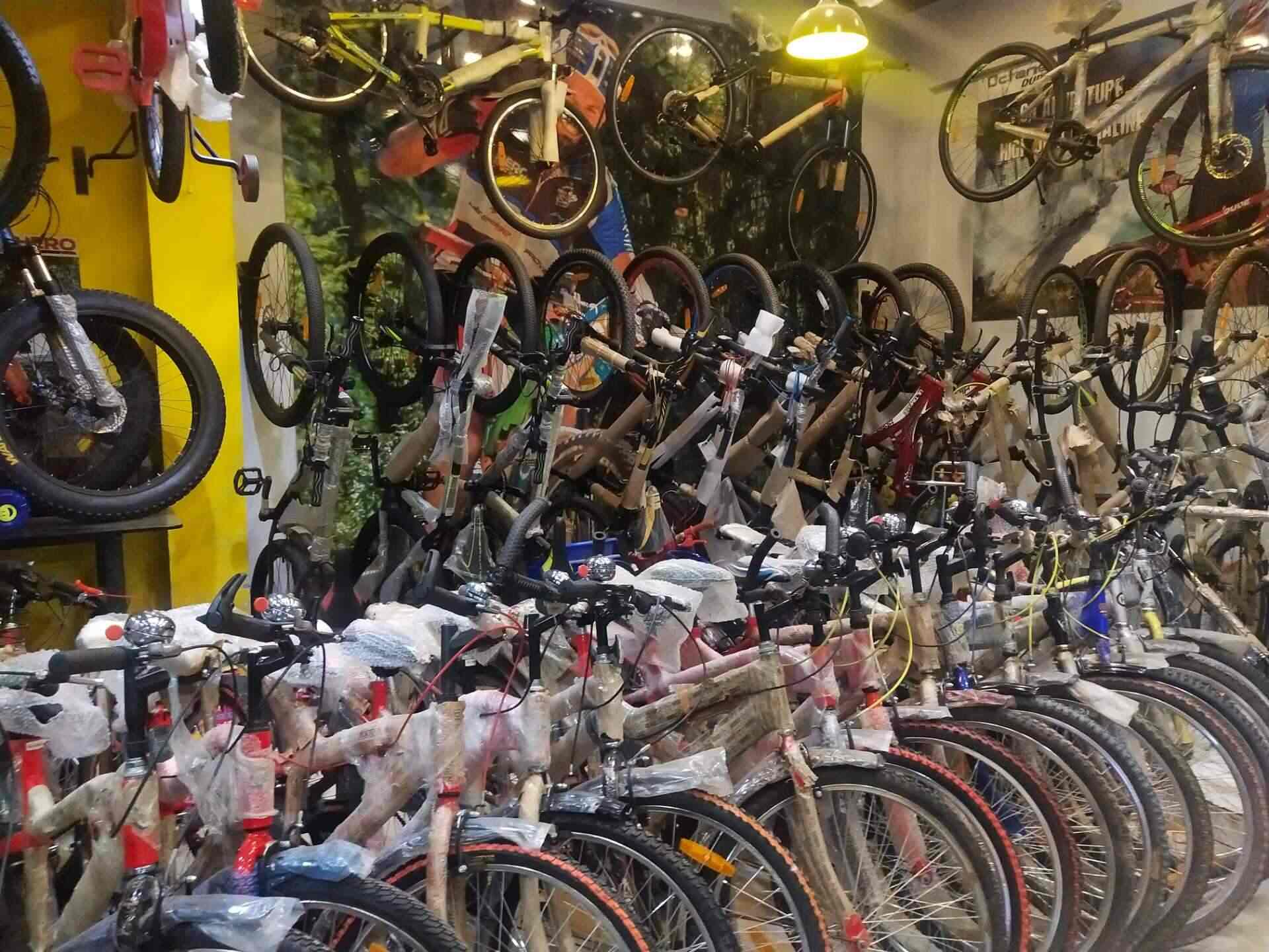 bicycle dealers