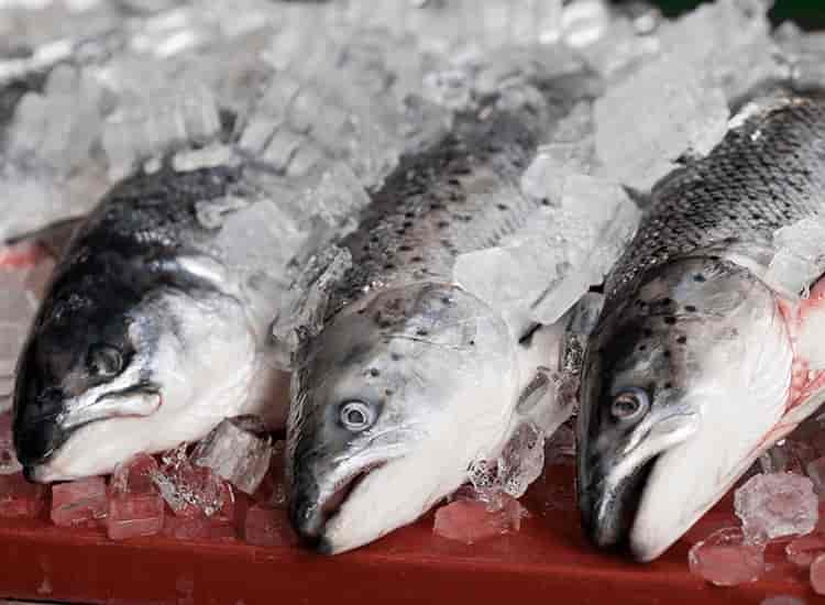 Top Fish Markets in Kayamkulam - Best Seafood Market - Justdial