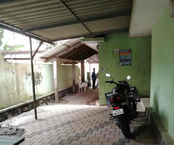 Top Public Veterinary Hospitals in Kollam Best Government Animal Hospitals near me Justdial