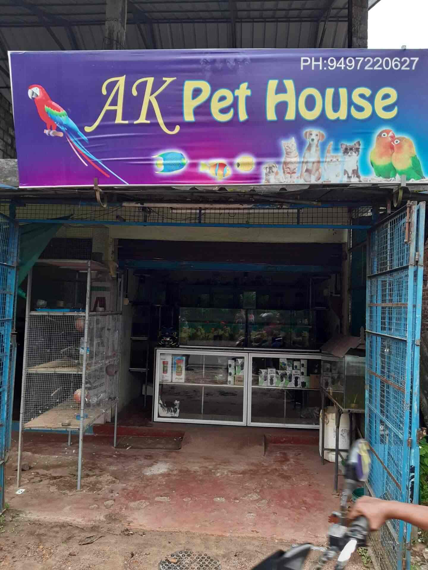 Ak Pet House in Mannancherry,Alappuzha Best Aquarium Fish Dealers in