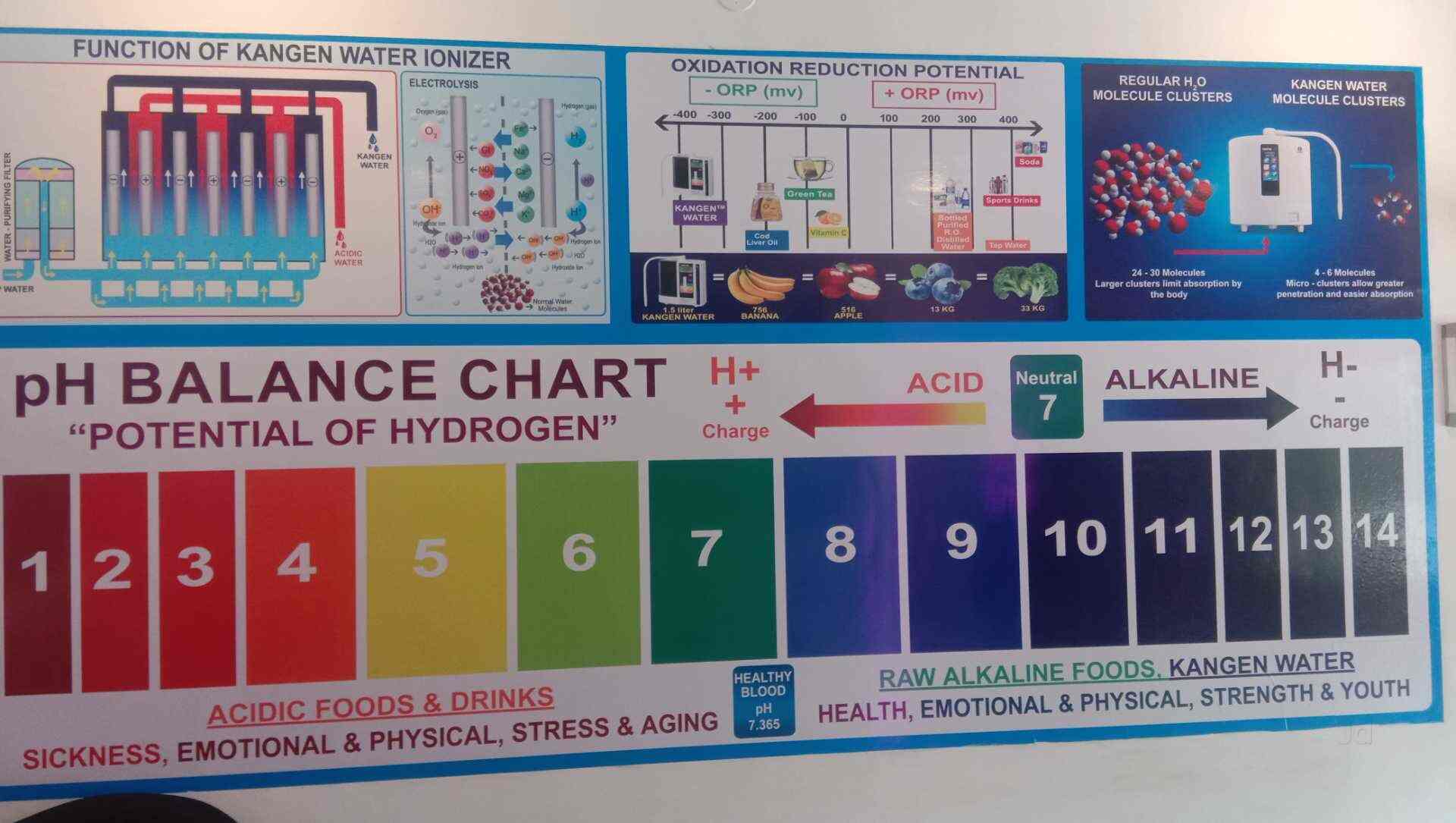 KANGEN WATER DEMO CENTER in Kayamkulam,Alappuzha Best Water Purifier