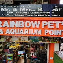 rainbow pet shop