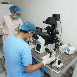 Rajul Endoscopy & Ivf Center in aligarh