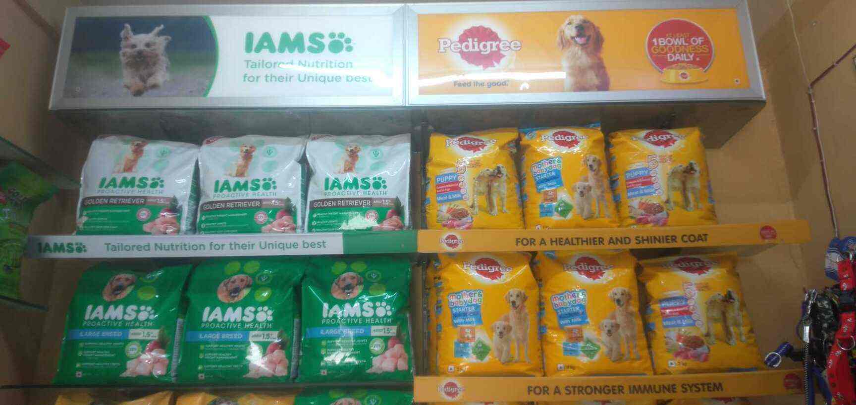 The Pet Shop Aquarium Photos, Aligarh City, Aligarh Pictures & Images