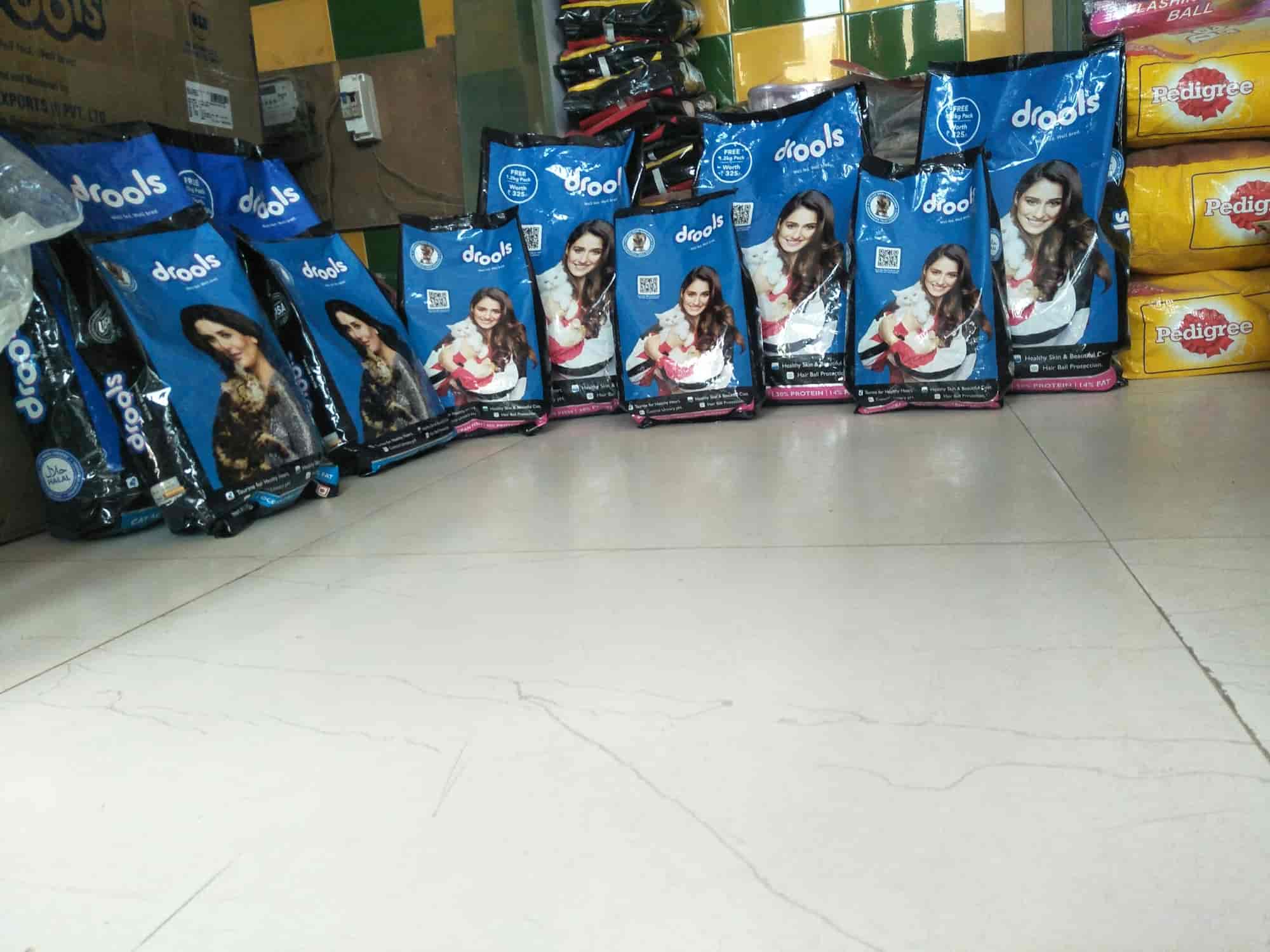 Gangotri Pet World in Naini,Allahabad Best Aquarium Accessory Dealers