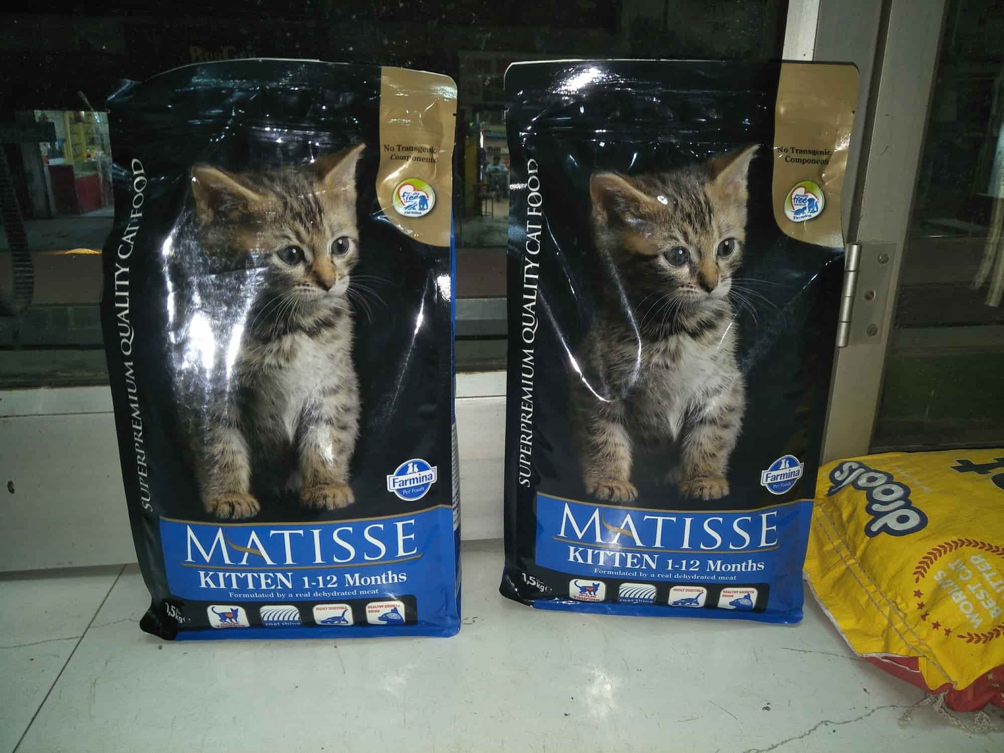 Gangotri Pet World in Naini,Allahabad Best Aquarium Accessory Dealers