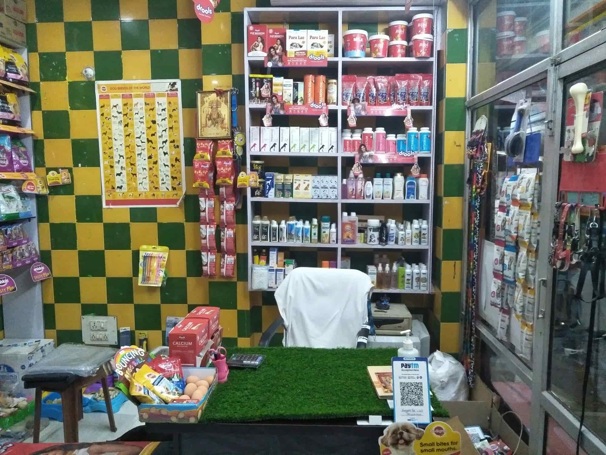 Gangotri Pet World in Naini,Allahabad Best Aquarium Accessory Dealers