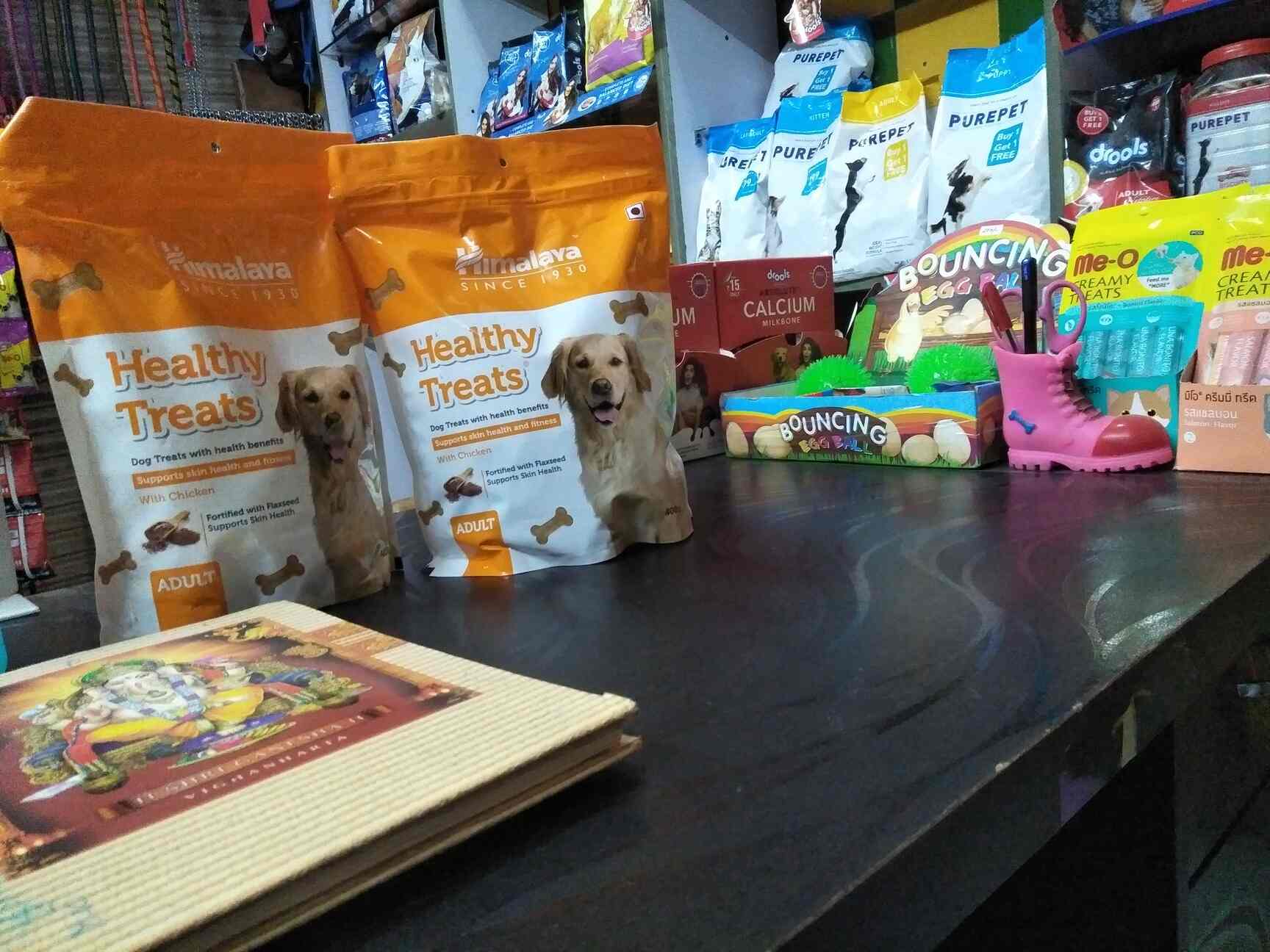 Gangotri Pet World in Naini,Allahabad Best Aquarium Accessory Dealers