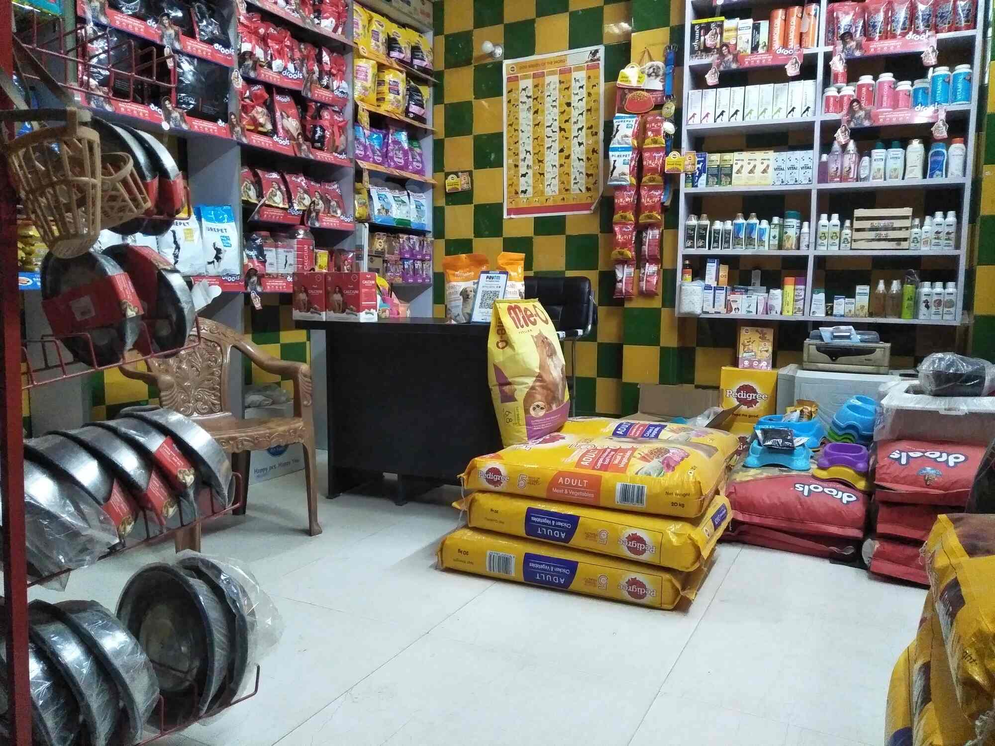 Gangotri Pet World in Naini,Allahabad Best Aquarium Accessory Dealers