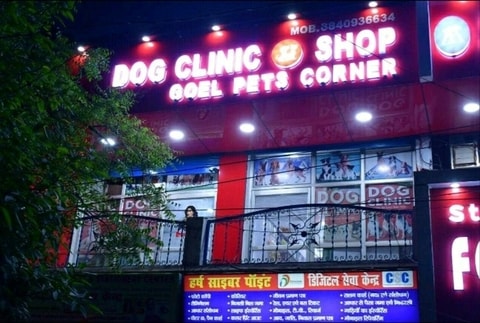 Goel Pets Corner Dog CAT Clinic N Pet Shop in Stainly Road