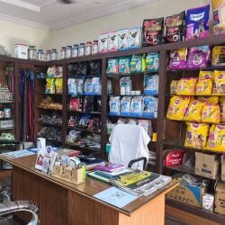Pets corner near deals me