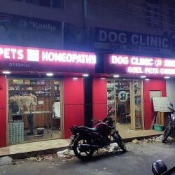 Pets corner near deals me