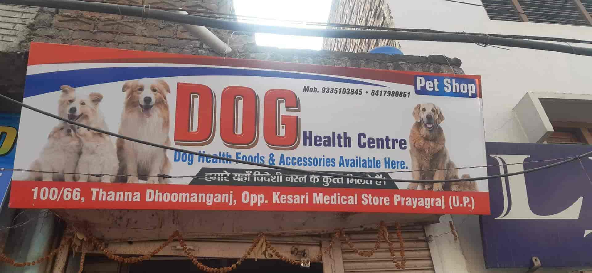Top Pet Shops in Kaushambi Best Pet Store near me Justdial
