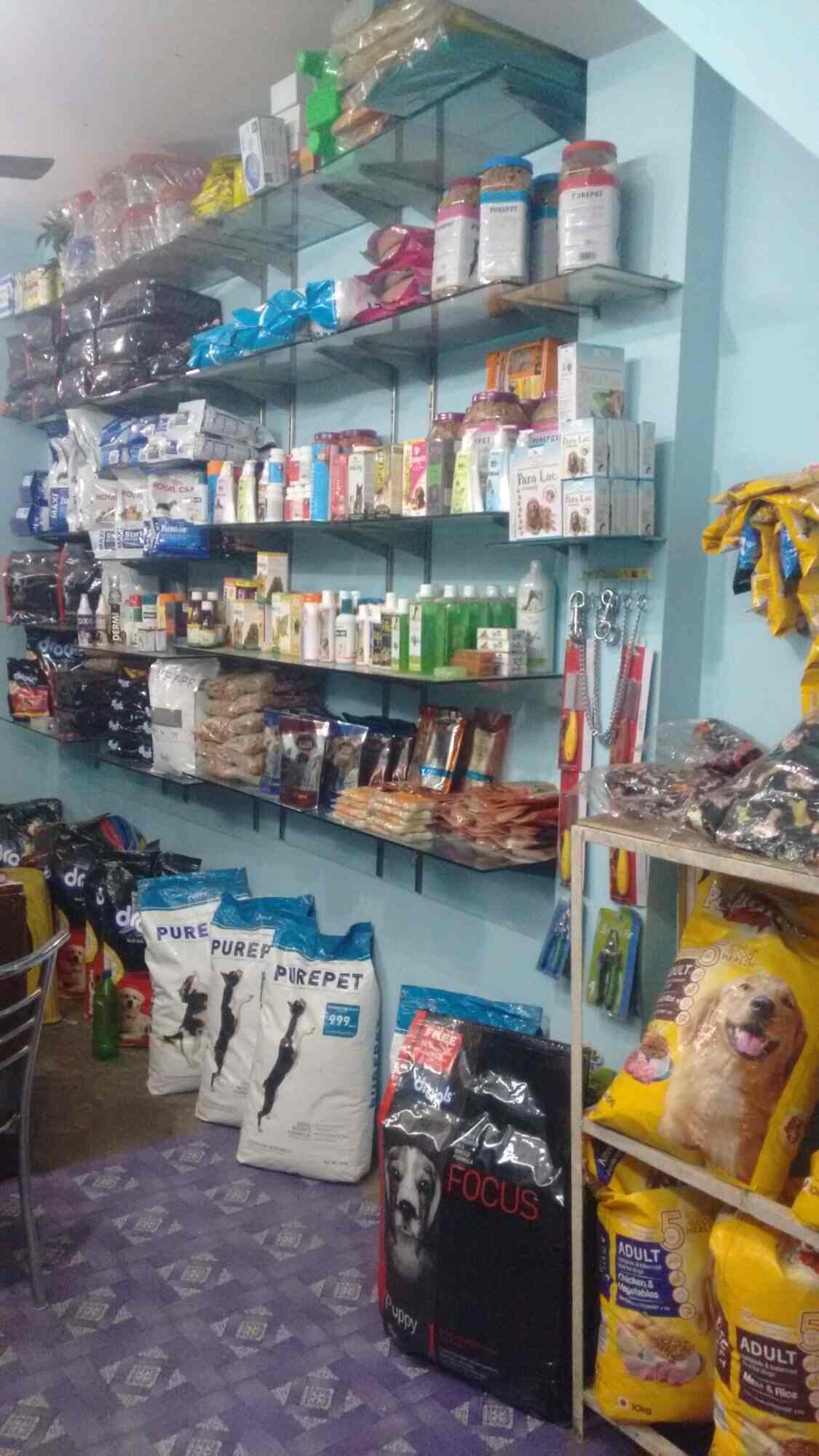 Top Pet Shops in Kaushambi Best Pet Store near me Justdial