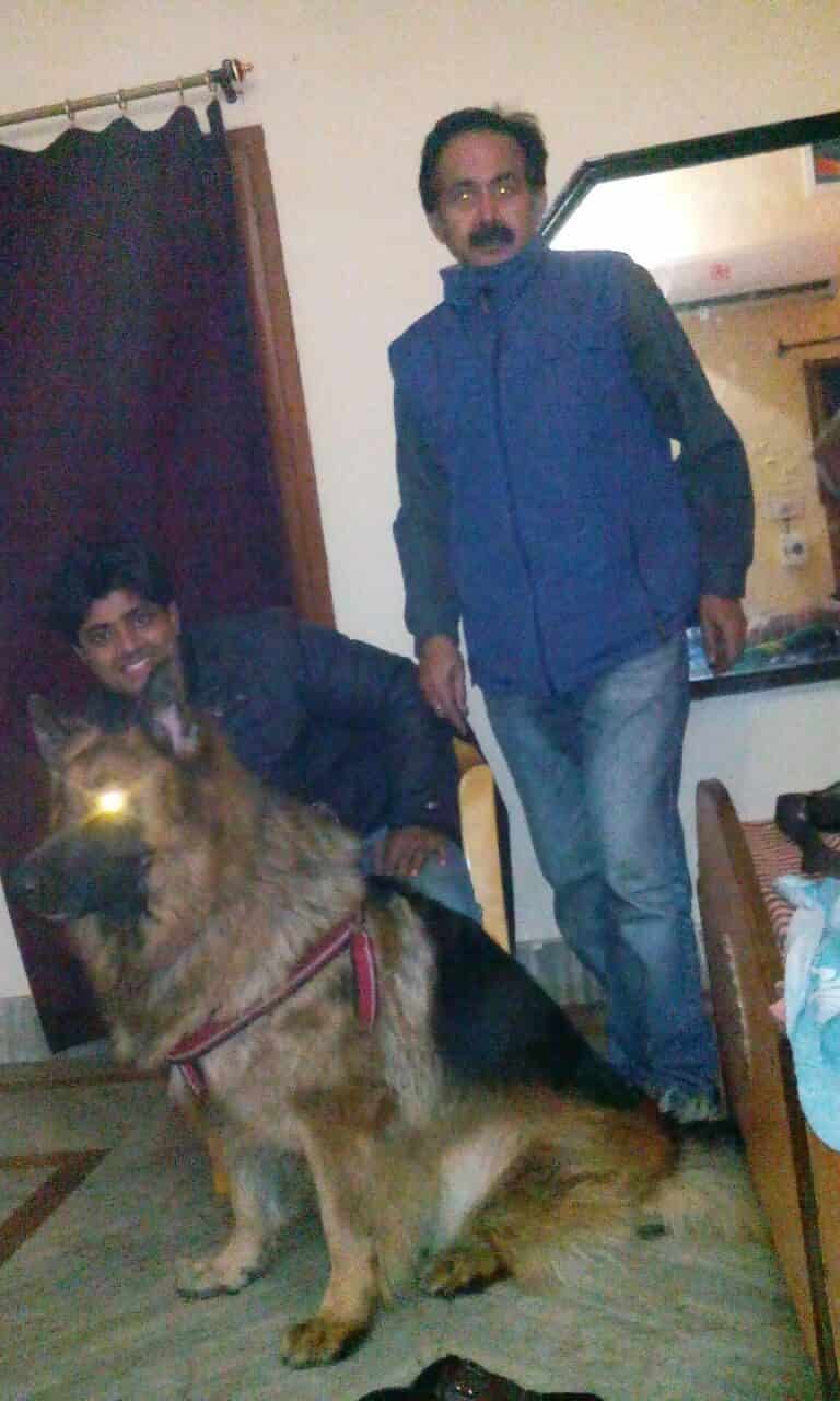 saurabh dog kennel