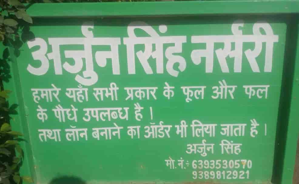 Catalogue Arjun Singh Nursery in Civil Lines , Allahabad Justdial