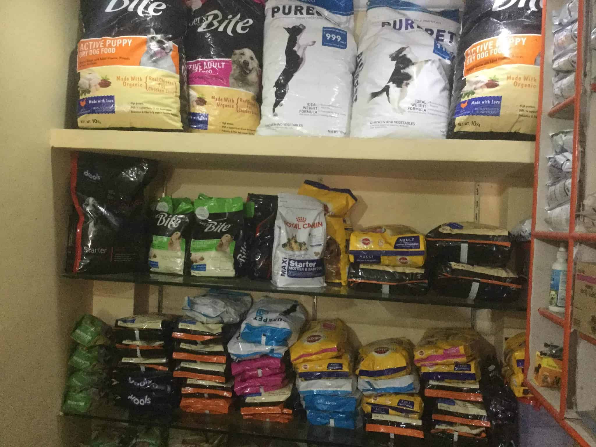 Top Pet Shops in Kaushambi Best Pet Store near me Justdial
