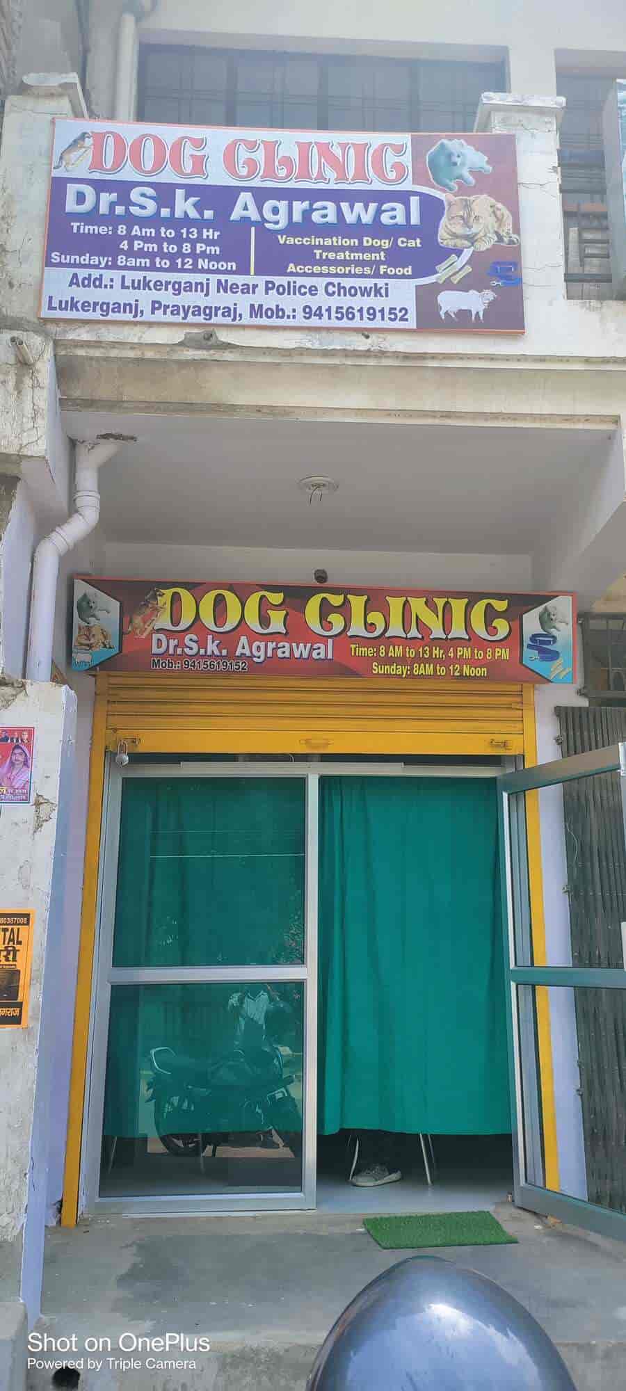 Dr. S K Agrawal Dog Clinic in Lukarganj,Allahabad Book Appointment