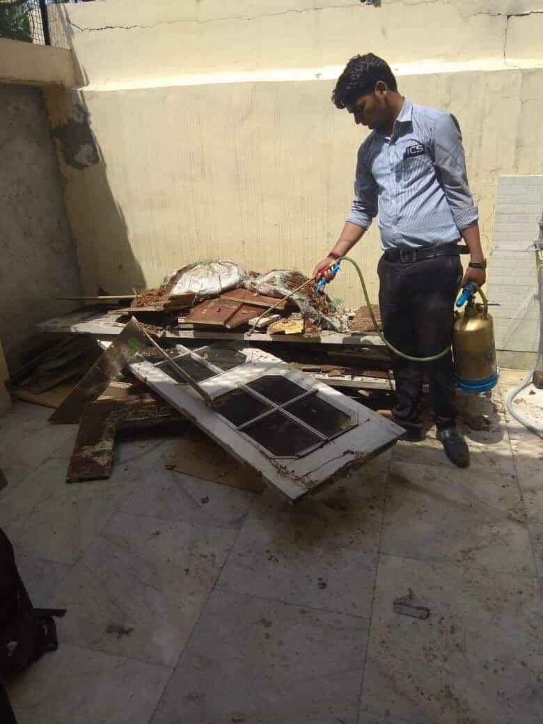 Ics Pest Control Services in Ambala City Model Town,Ambala Best