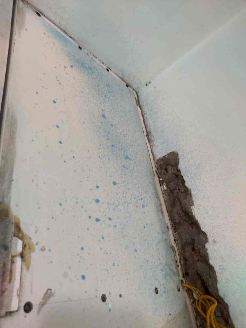 Ics Pest Control Services in Ambala City Model Town,Ambala Best