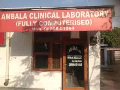 Lab view 3