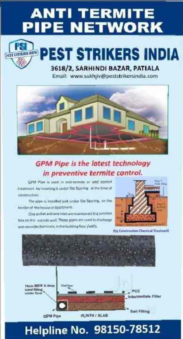 Top Bird Netting Services in Mohali Sas Nagar Best Bird Net