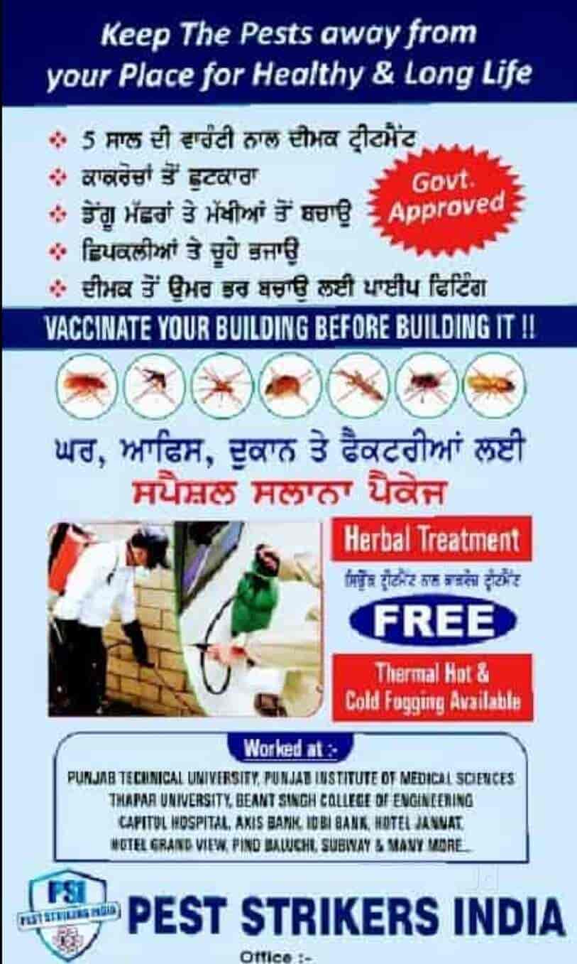 Top Bird Netting Services in Mohali Sas Nagar Best Bird Net