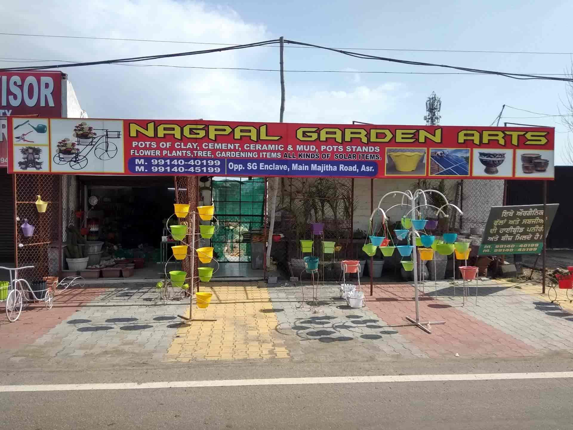 Top 30 Plant Nurseries in Amritsar Best Nursery Plant Suppliers