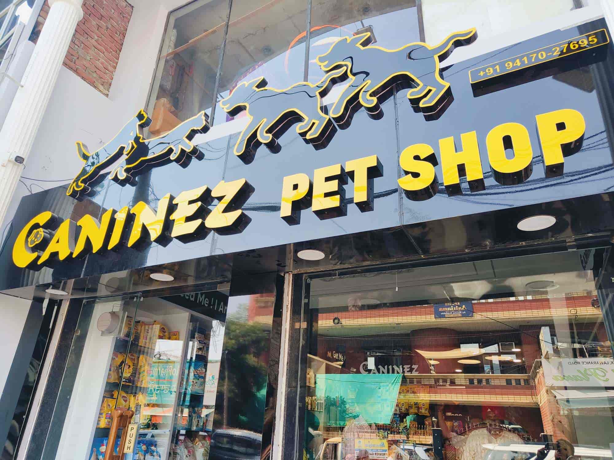 Top Pet Shops in Amritsar Best Pet Store near me Justdial