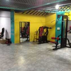 B star gym anand anand gujarat