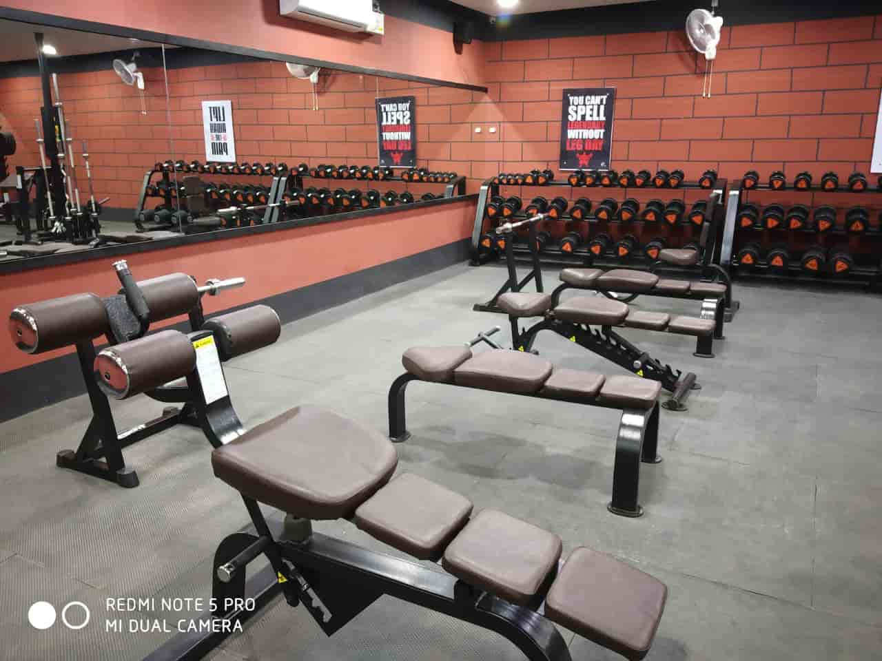 Learn How To Start bodybulding high frequency sucks